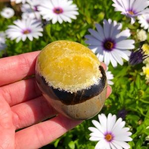 Septarian mineral palmstone